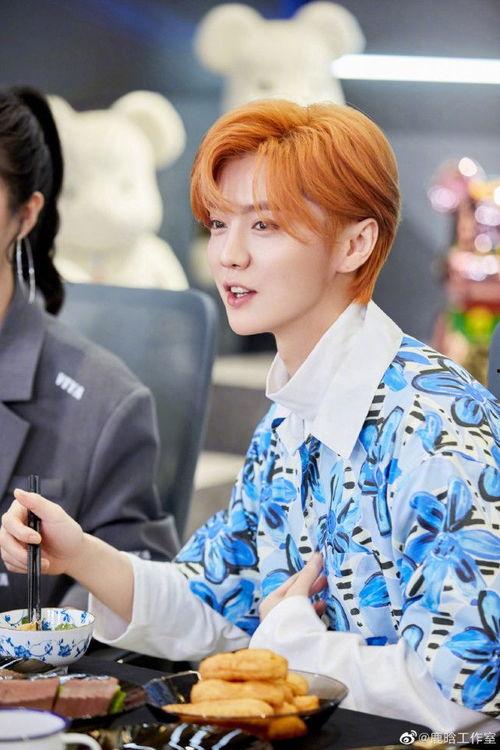 吃瓜娱乐圈鹿晗,娱乐圈的瓜田,他的成长与蜕变 第3张 吃瓜娱乐圈鹿晗,娱乐圈的瓜田,他的成长与蜕变 第3张