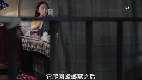 桃花孩子爆料视频大全集,揭秘幕后真相与精彩瞬间  第3张